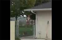 dva-prijatelja-zezaju-psa